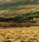 Spacernik w Glenorchy