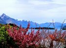 Queenstown i jezioro Wakatipu
