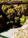 Bungy jumping - most Kawarau (43 m)