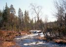 Urho-Kekkonen NP