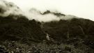 11.	Widok z trasy do Fox Glacier