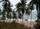 Plaa na Koh Phangan